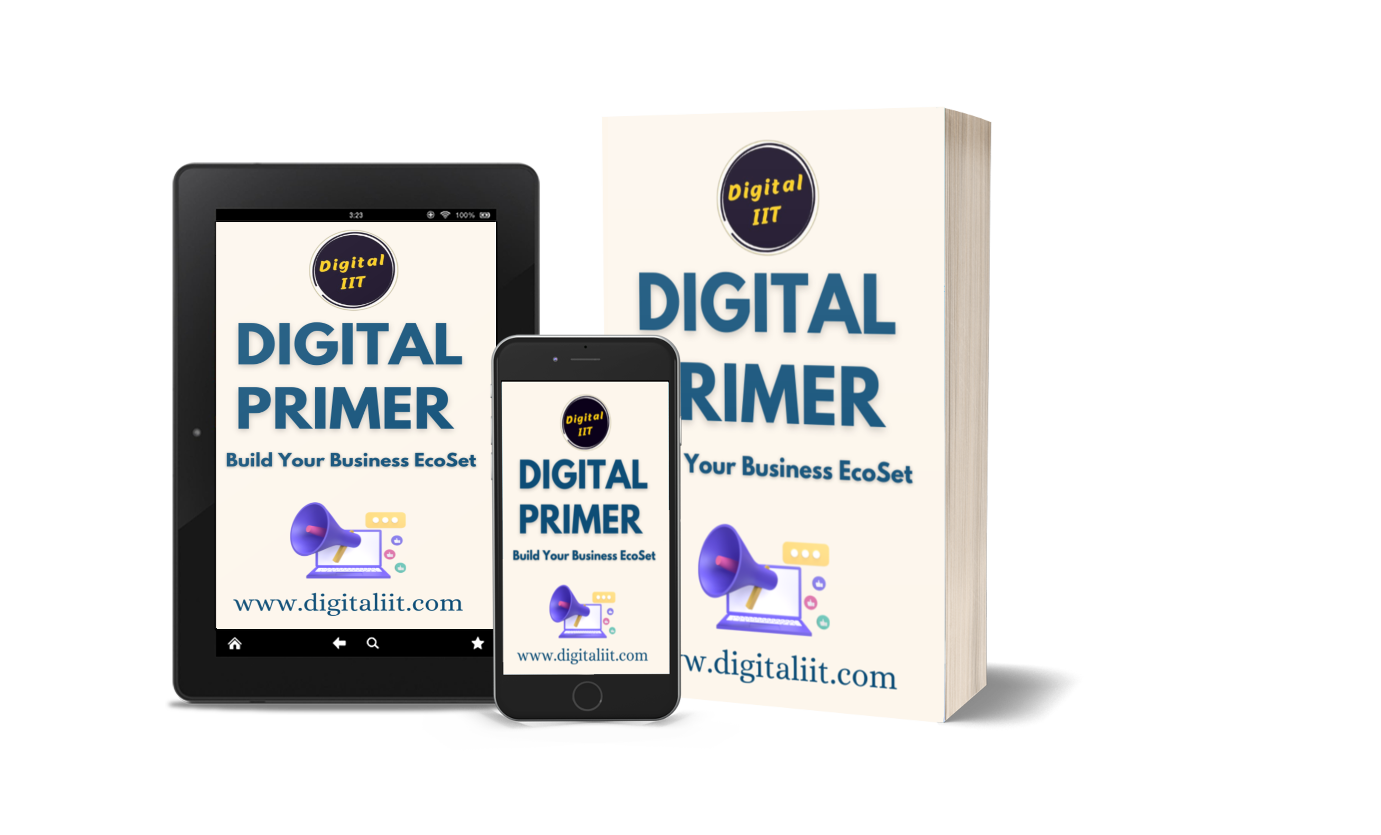 DigitalIIT.com Learn Digital Marketing In HIndi Digital Primer